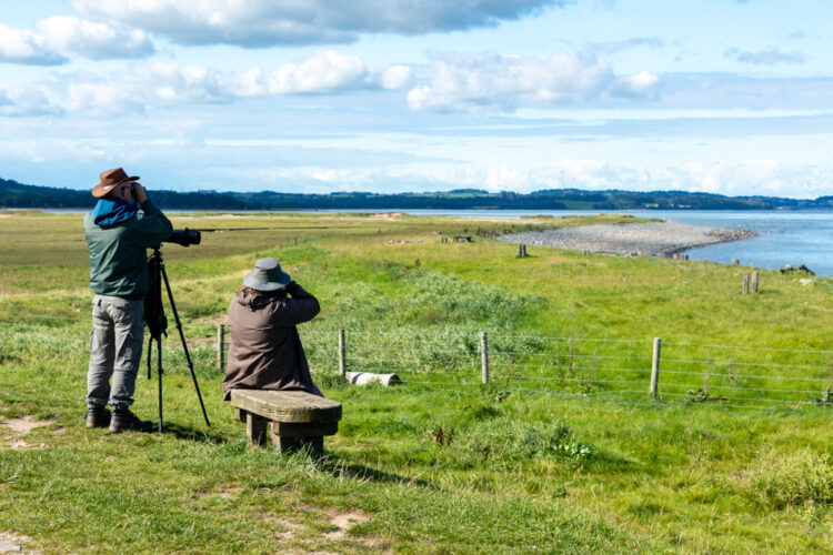 Discover the Joys of Bird Spotting in Retirement: A Fun and Engaging Hobby for Nature Lovers