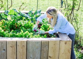 Grandparents, Transform Your Golden Years into Green Thumbs with Raised Garden Beds!
