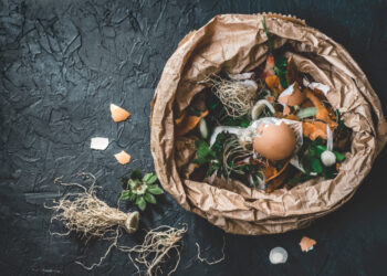 Enriching Retirement: The Ultimate DIY Composting Guide for Senior Gardeners