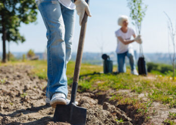 Unlocking the Power of Altruism: The Remarkable Benefits of Volunteering and Giving Back